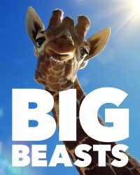 Phim Big Beasts data-eio=