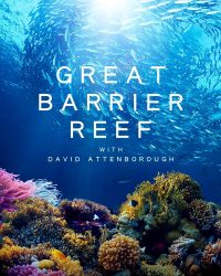 Khám Phá Rạn San Hô Great Barrier cùng David Attenborough